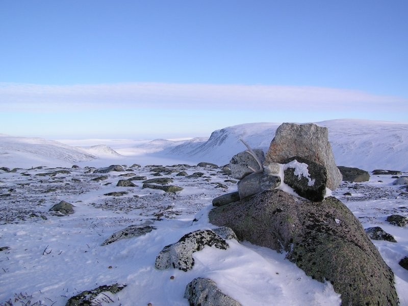 Click for the original image